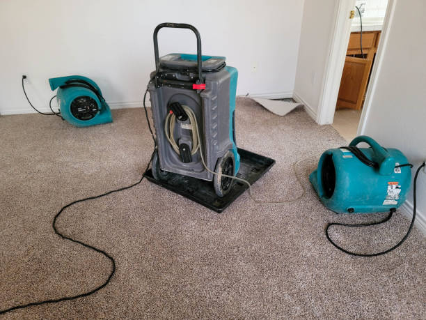 Best Local water damage restoration  in Casselton, ND