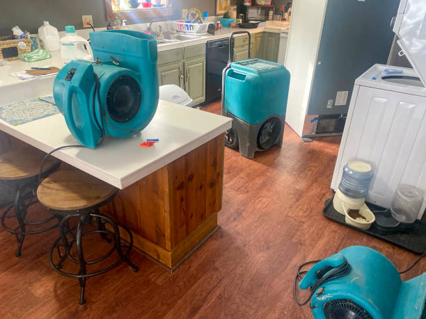 Best Basement water damage restoration  in Casselton, ND