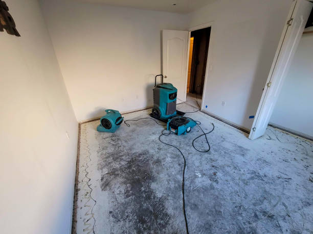 Best Water damage contractors near me  in Casselton, ND