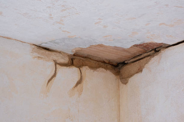 Best Flooded house restoration  in Casselton, ND