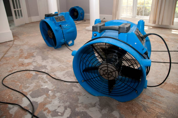 Best Flood restoration services  in Casselton, ND