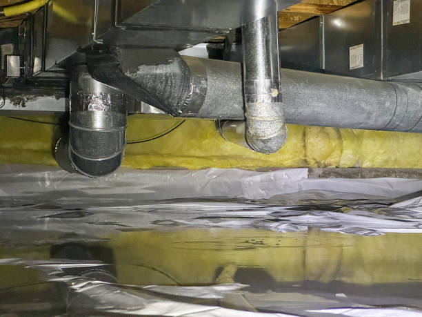 Best Water damage restoration experts  in Casselton, ND